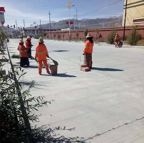 日喀則市吉隆縣環(huán)衛(wèi)現場圖